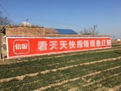 Q俿h (1)