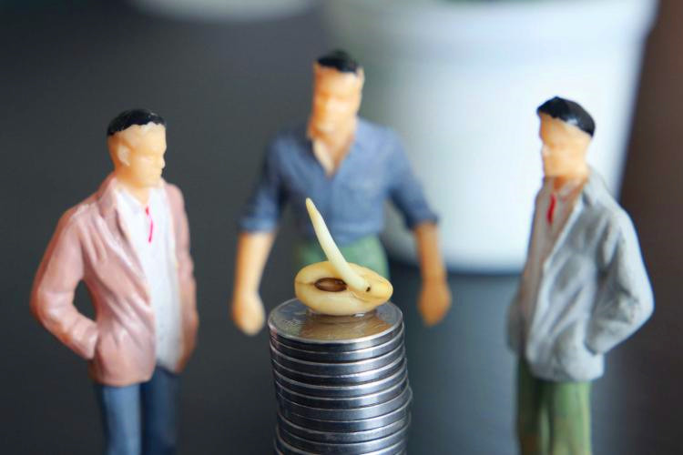 7_.jpg