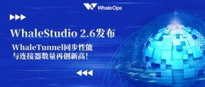 WhaleStudio 2.6 ʽl(f)WhaleTunnel ͬcB(sh)ل(chung)¸